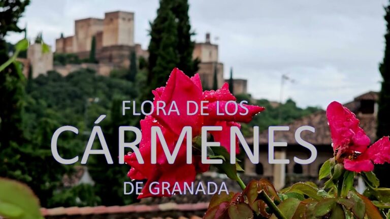 que son los carmenes de granada