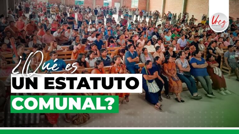 que son los estatutos de una comunidad