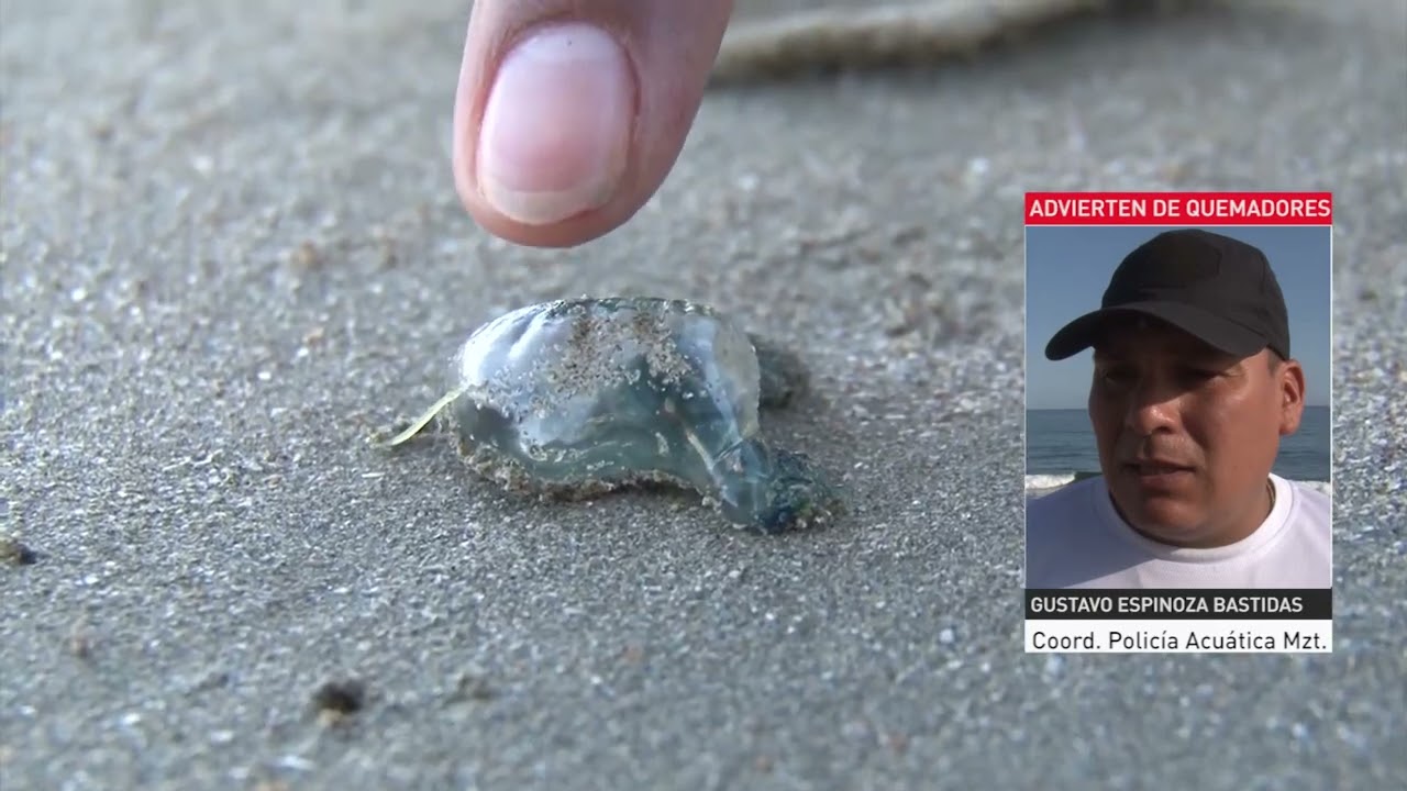 que son los quemadores en la playa