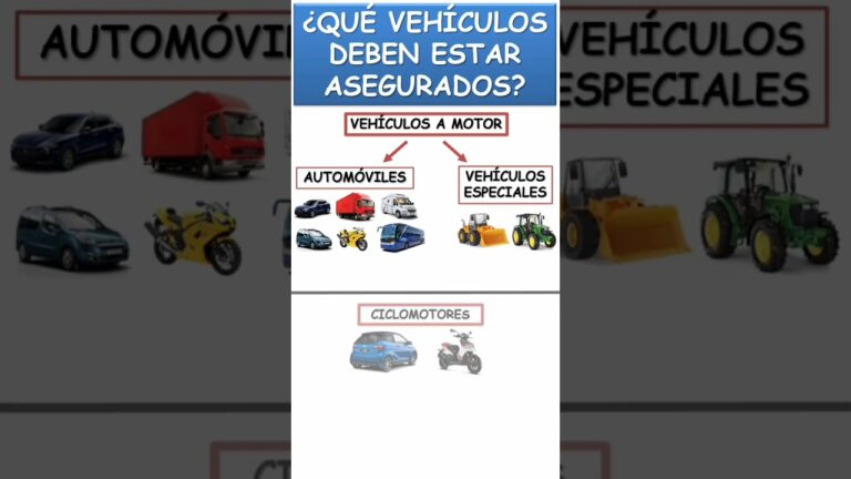 que vehiculos deben tener contratado el seguro obligatorio