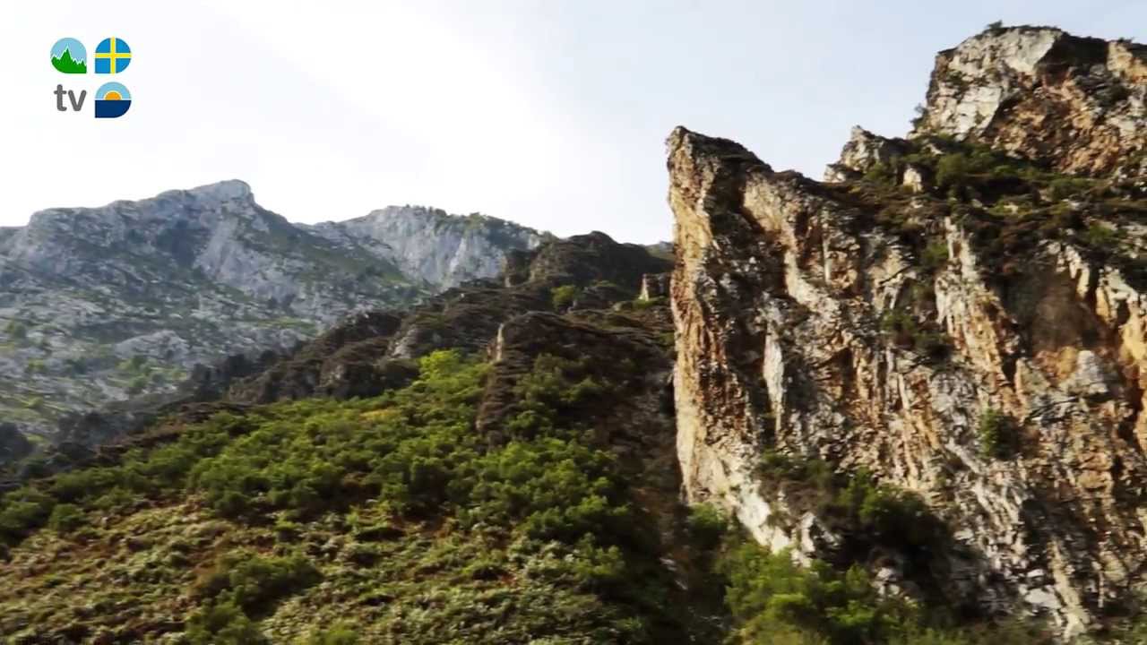 que ver en arenas de cabrales