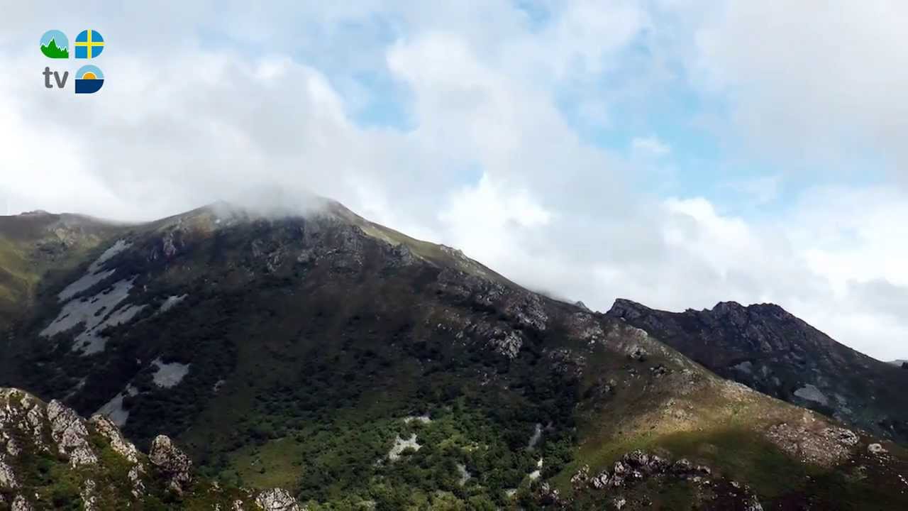 que ver en belmonte de miranda