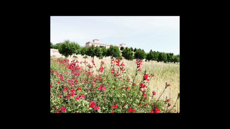 que ver en boadilla del monte