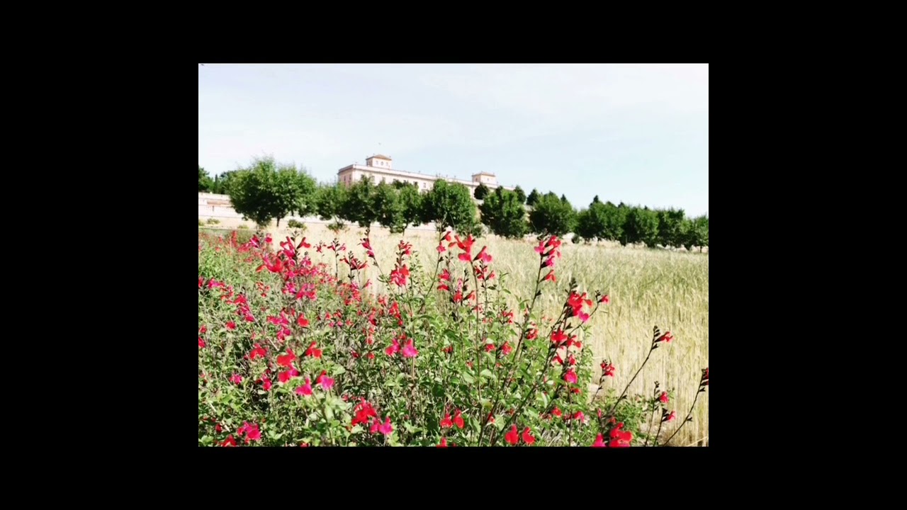 que ver en boadilla del monte