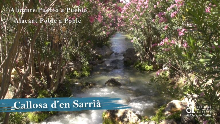 que ver en callosa de sarria
