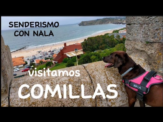 que ver en cantabria con perros