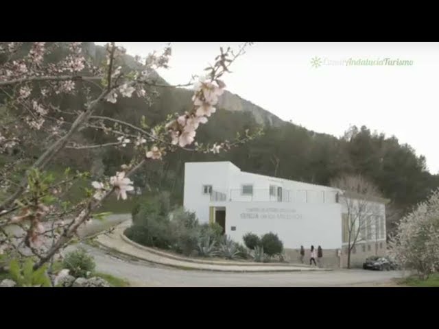 que ver en cuevas de san marcos