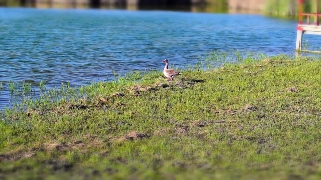 que ver en daimiel y alrededores