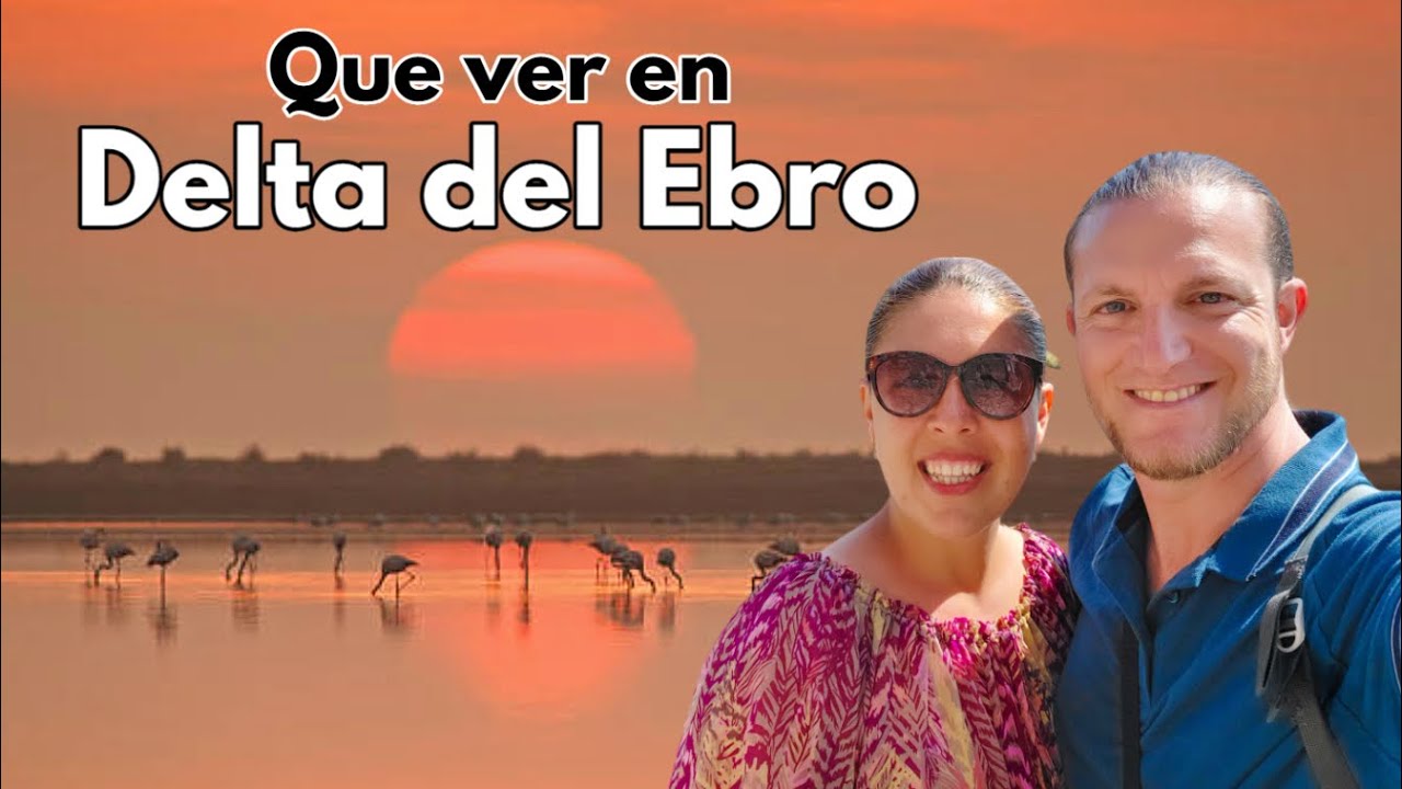 que ver en el delta del ebro en un dia