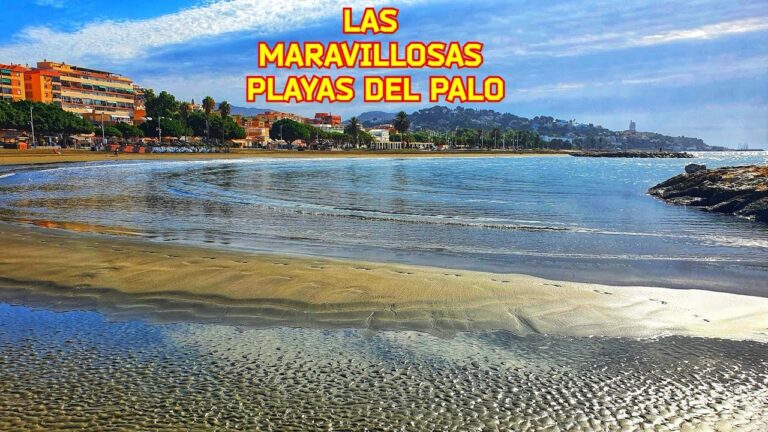 que ver en el palo málaga