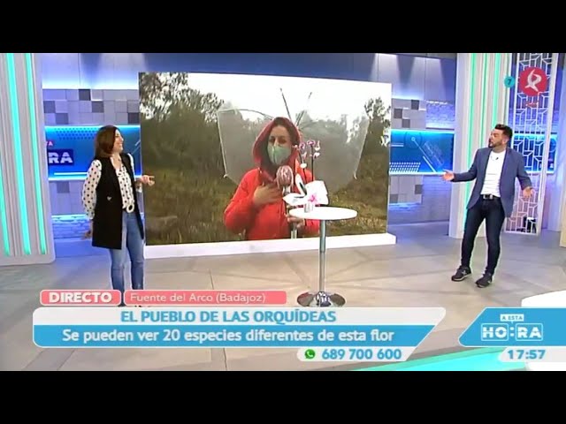 que ver en fuente del arco