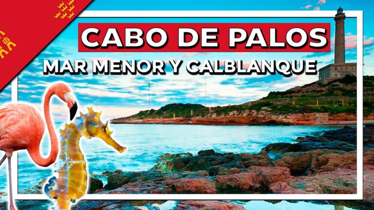 que ver en la manga y alrededores