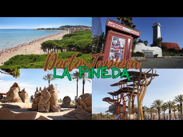 que ver en la pineda y alrededores