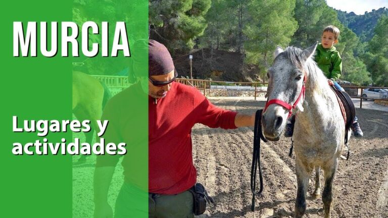 que ver en murcia con niños