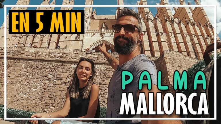 que ver en palma en un dia