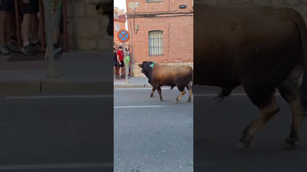 que ver en tudela de duero