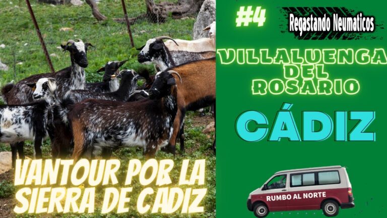 que ver en villaluenga del rosario