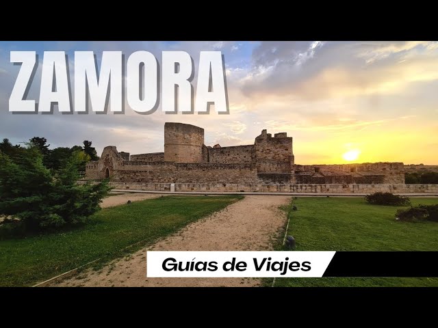 que ver en zamora con niños