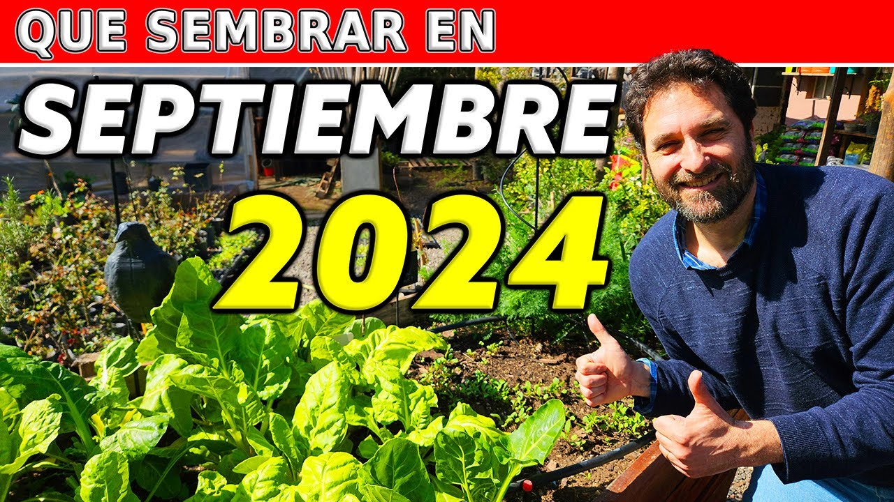 que verdura se planta en septiembre