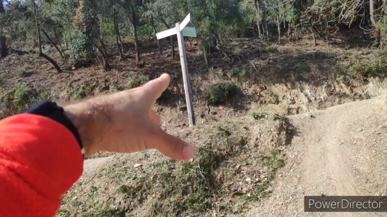 sant vicenç dels horts como llegar