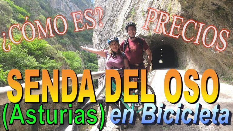 senda del oso asturias como llegar