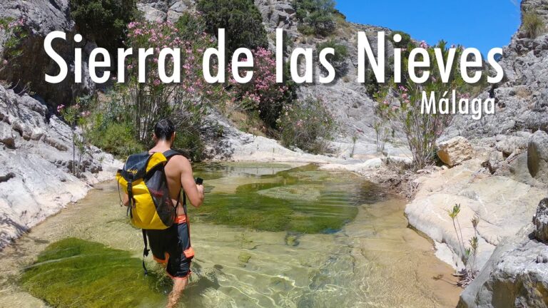 sierra de las nieves como llegar
